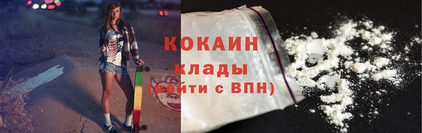 гашик Арсеньев