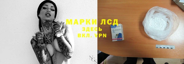 гашик Арсеньев