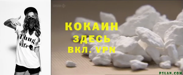 гашик Арсеньев