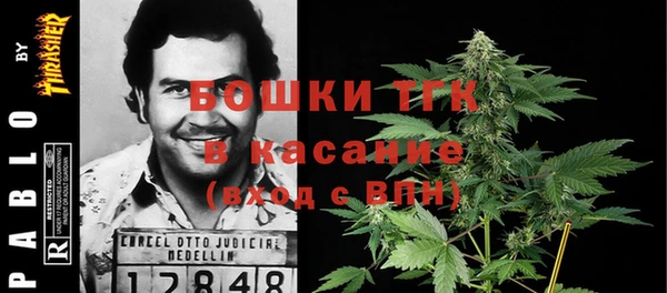гашик Арсеньев