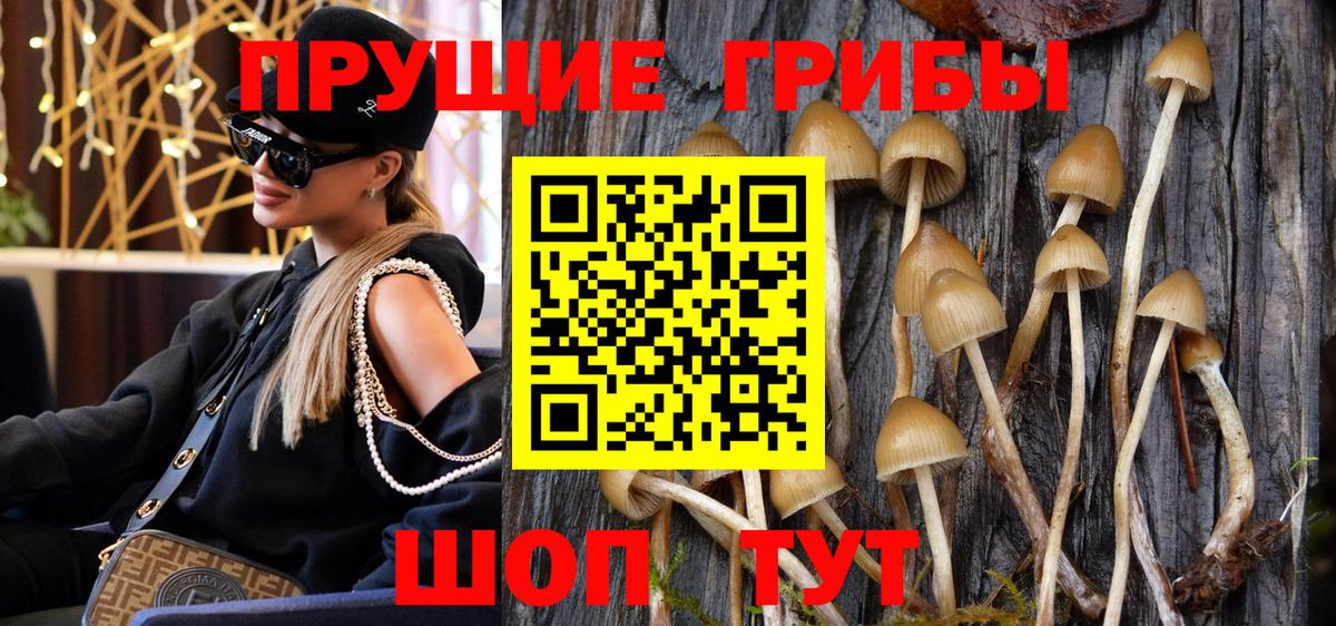 Галлюциногенные грибы MAGIC MUSHROOMS Лесной