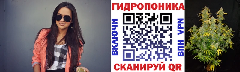 Шишки марихуана конопля  дарнет шоп  Лесной 